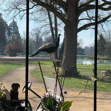 Alojamento de Acomodação e Pequeno-almoço Orangerie De Chatel-selection Figaro & Elle Magazine 4*